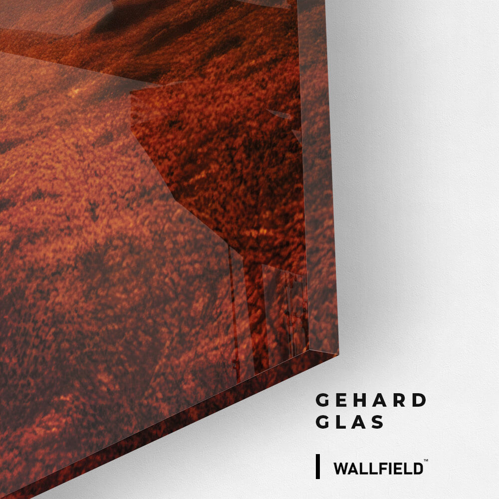 Elephant On The Road - Glas