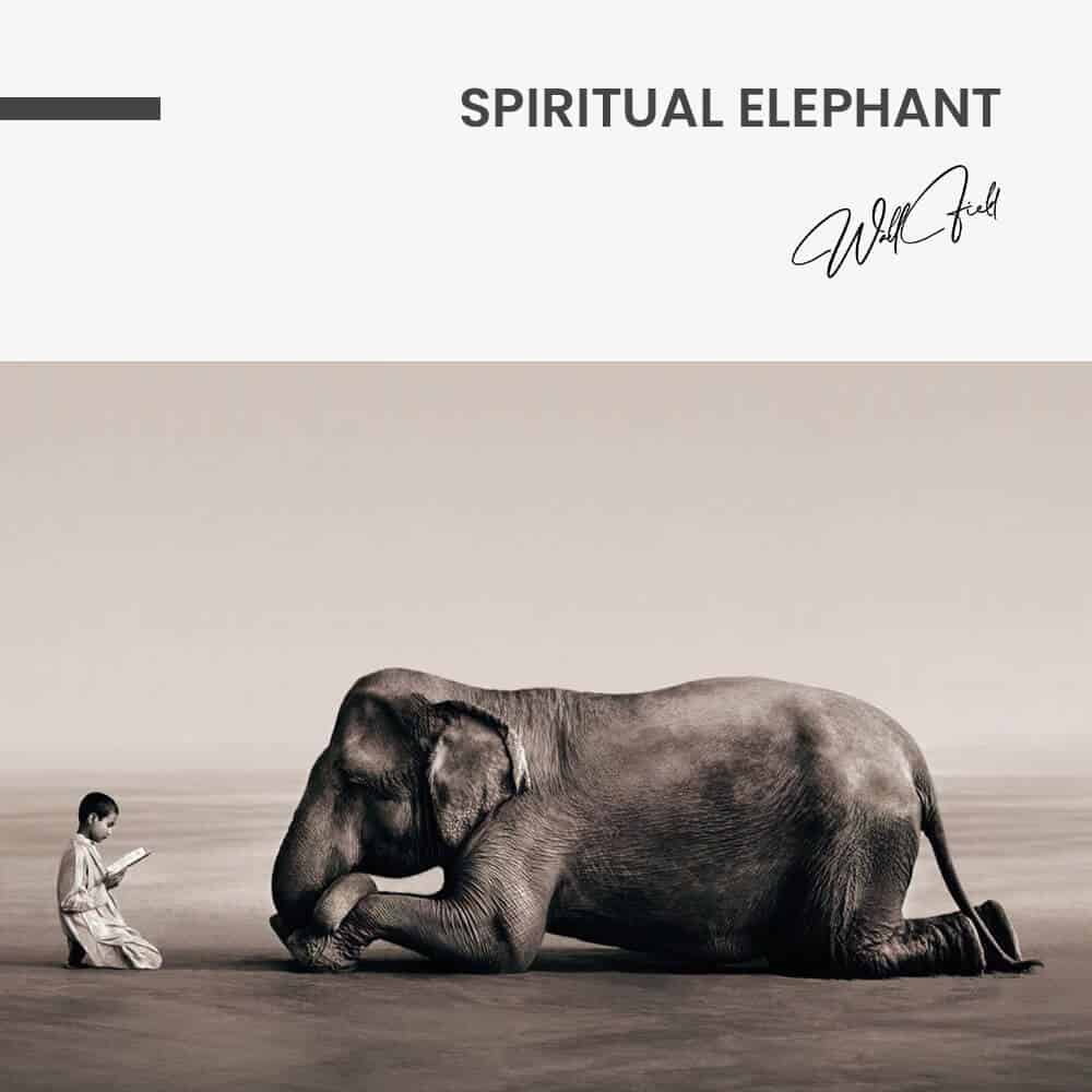 Spiritual Elephant - Glas