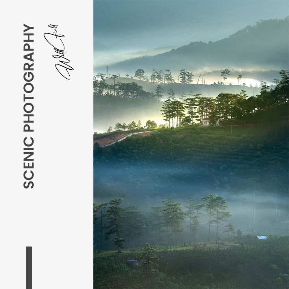 "Scenic Photography"