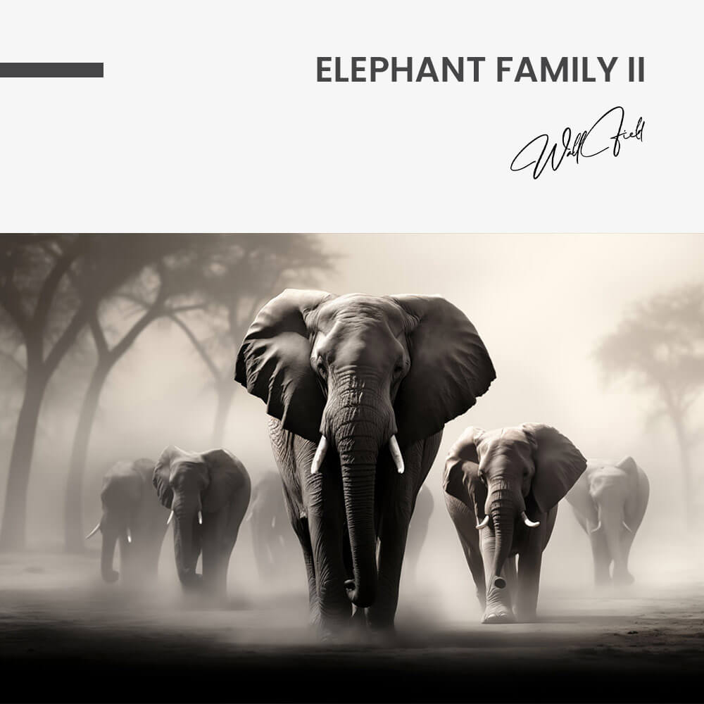 "Elephant Family II"