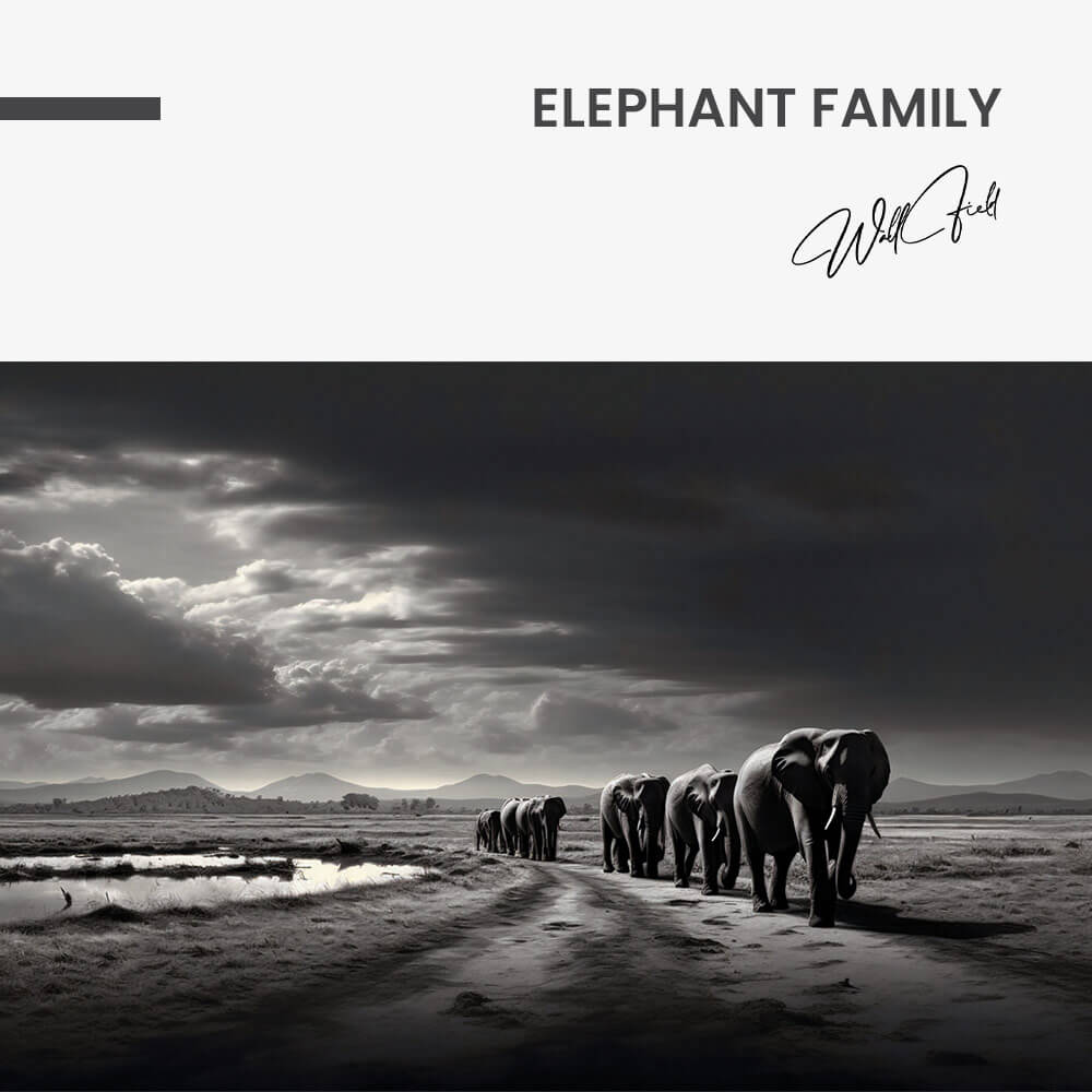 Elephant Family - Glas