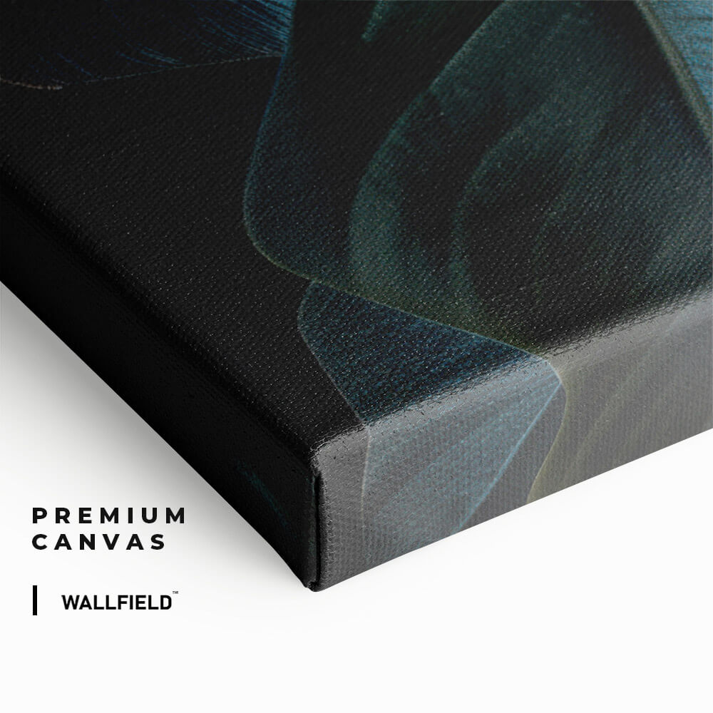 "Rainforest Rhapsody"