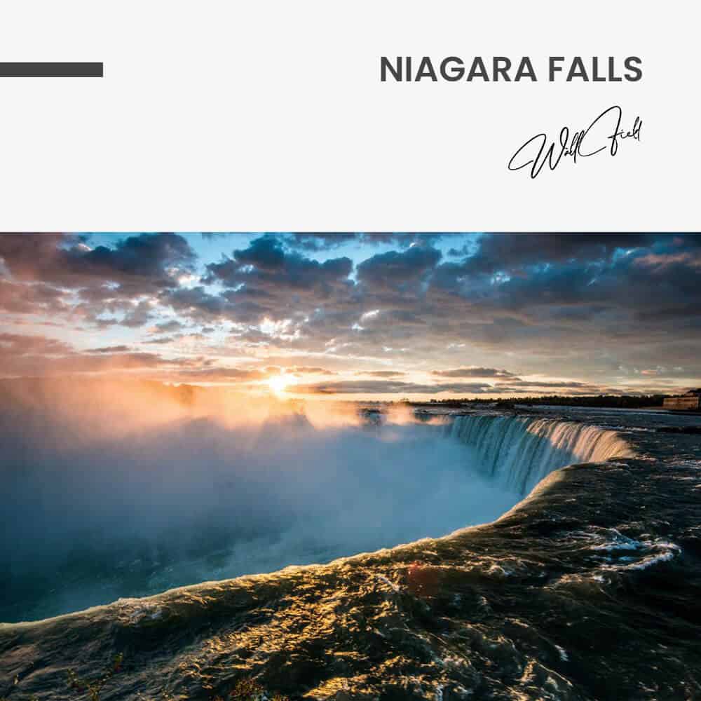 "Niagara Falls"