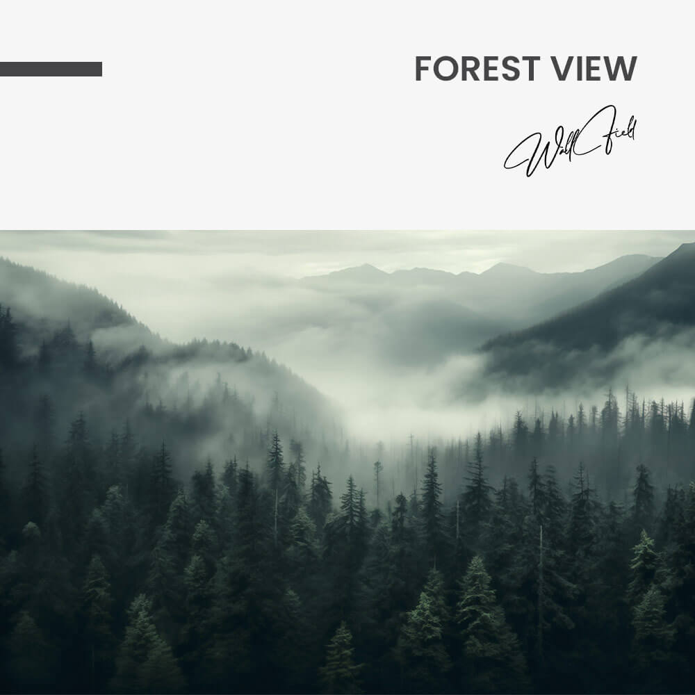 "Forest View"