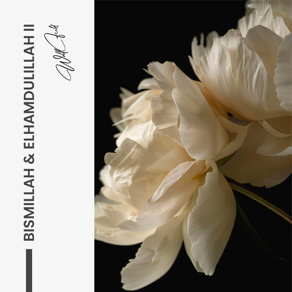 Bundle: "AIR" (3x) – Glass