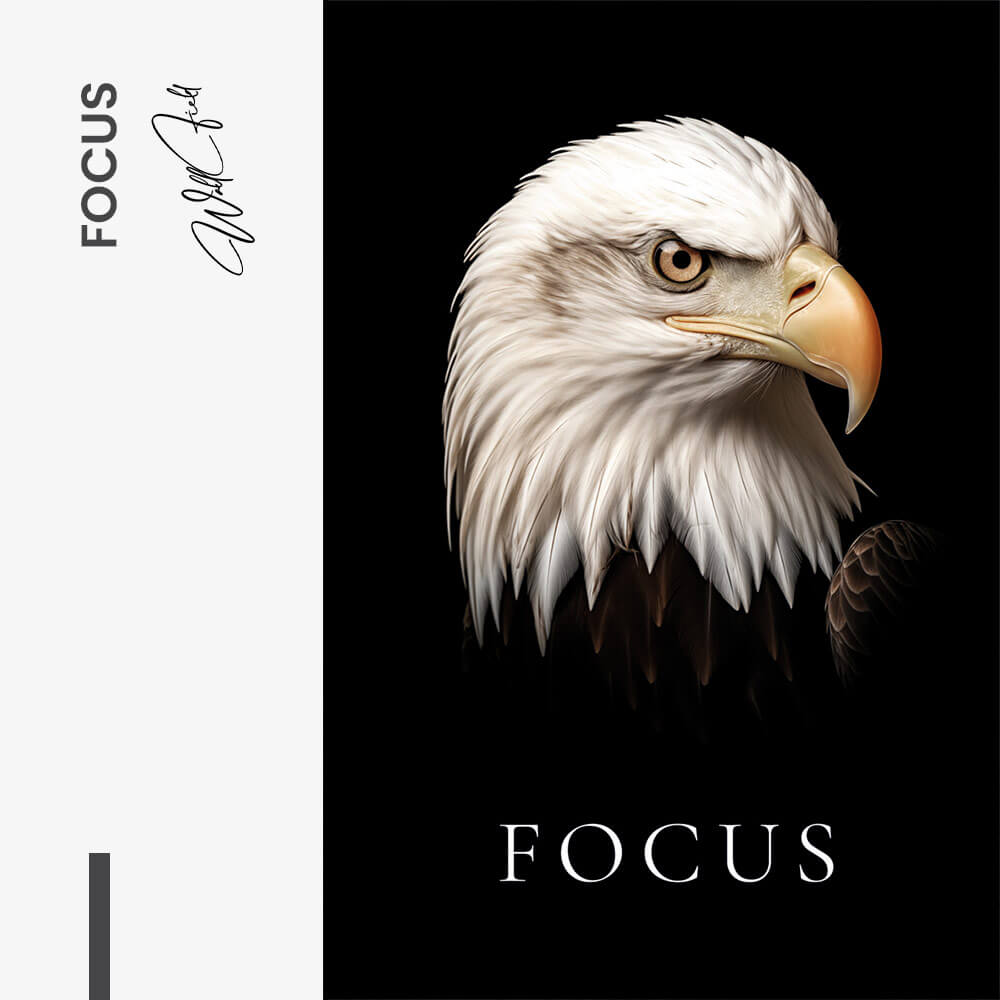 "Focus"