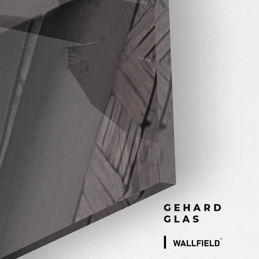 The Chimpfather – Glass