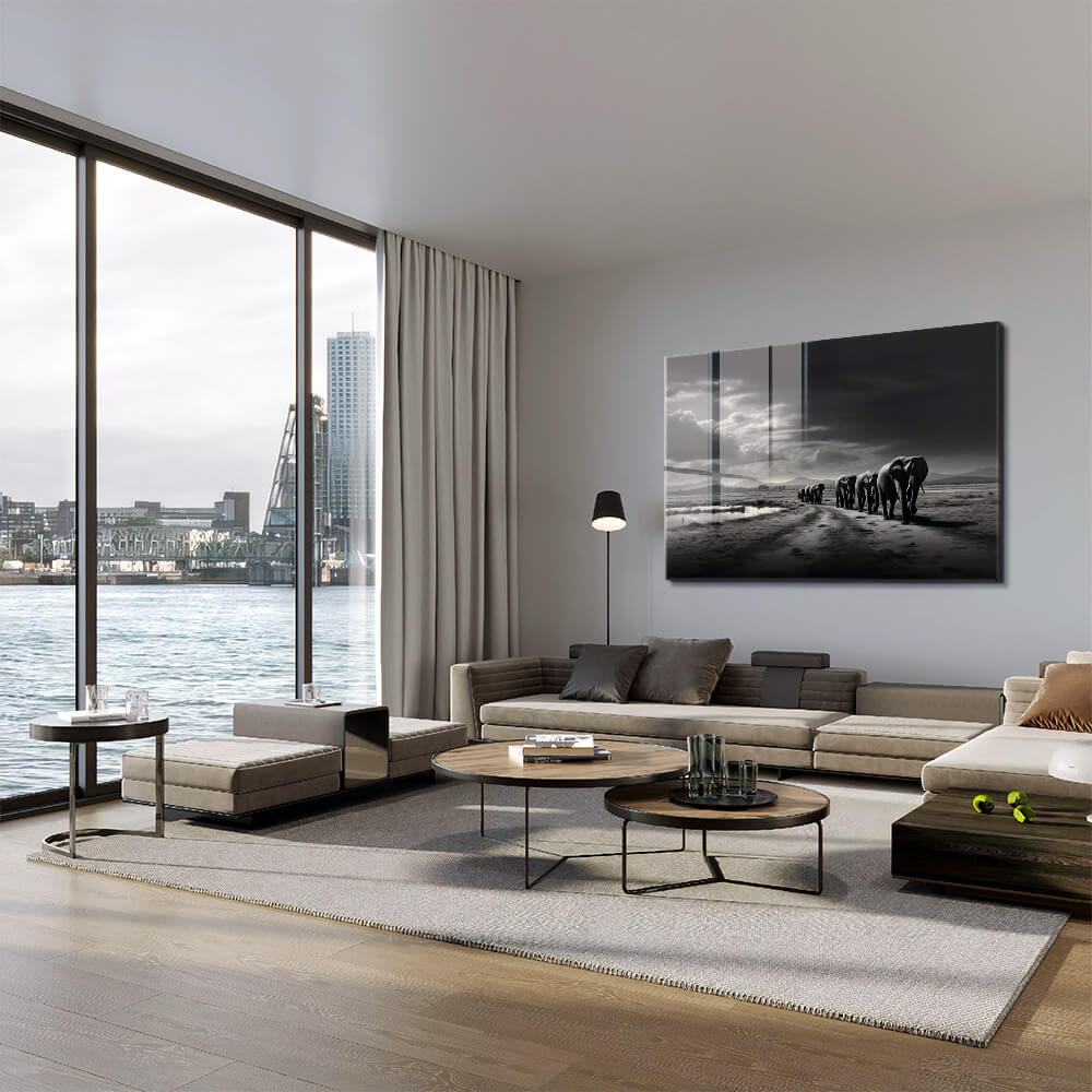 Elephant Family - Glas