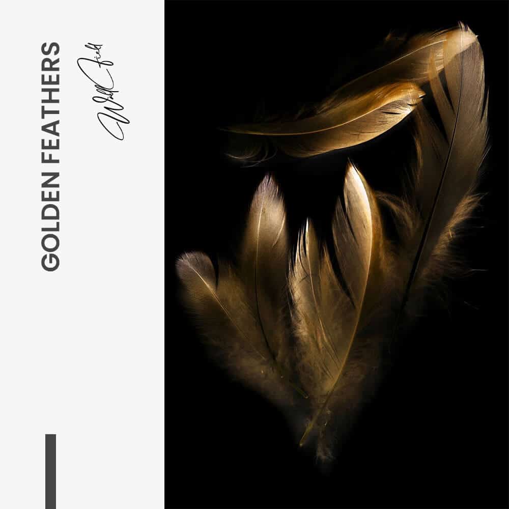 "Golden Feathers"