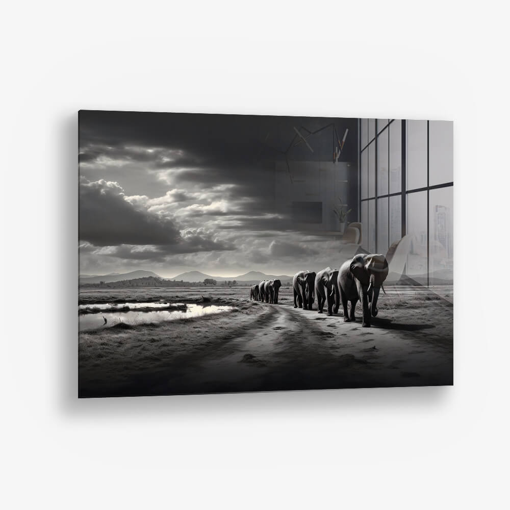 Elephant Family - Glas