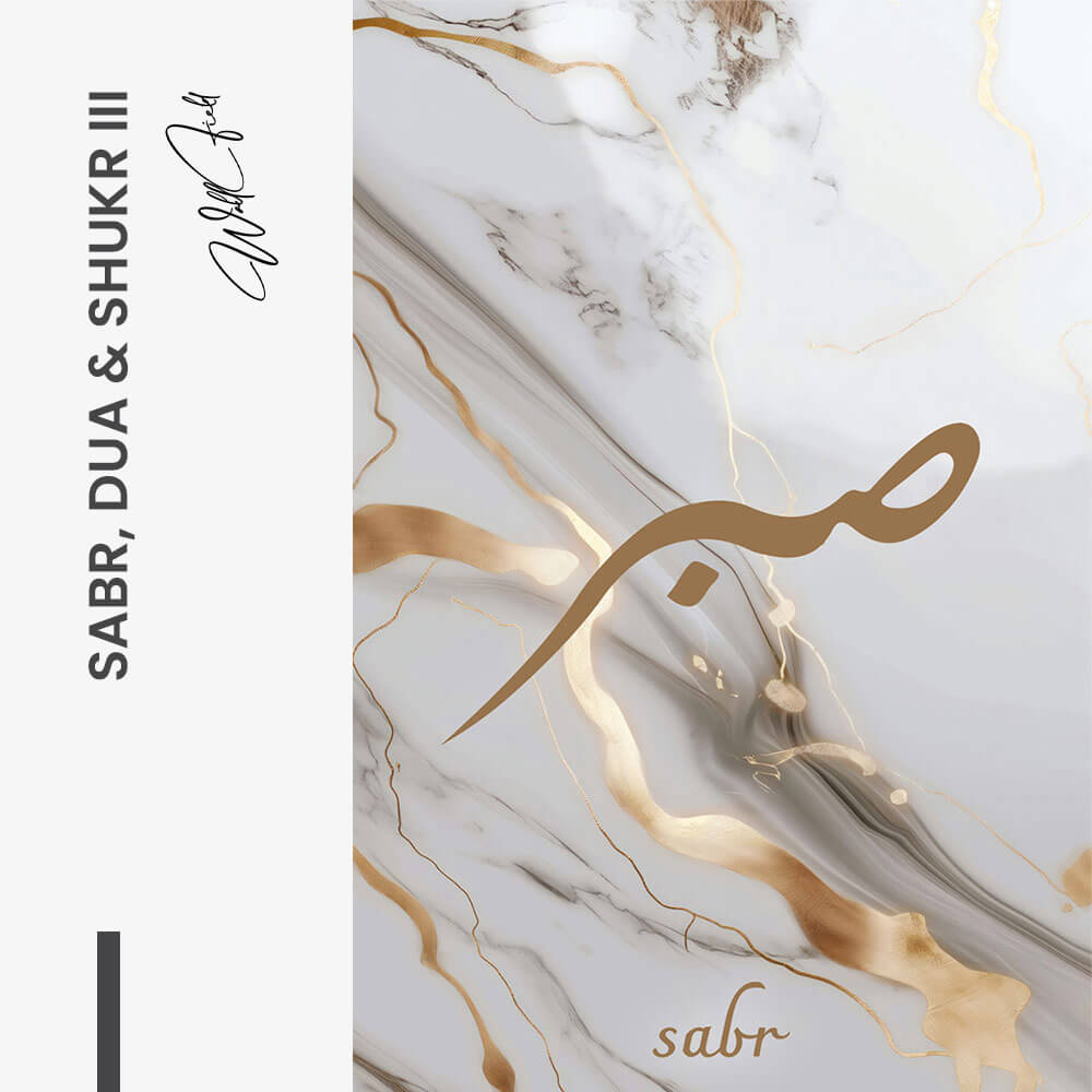 Bundle: "Blue Marble" (3x)